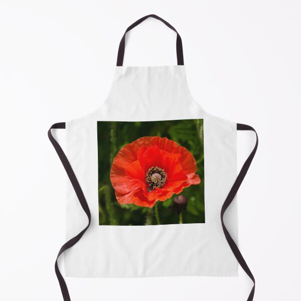 Item preview, Poppy designed and sold by Carolyn Eaton.