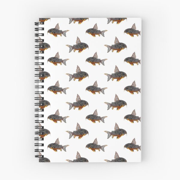 Item preview, Sterbai Corydoras designed and sold by GFishy.