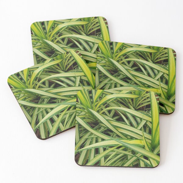 Item preview, Beautiful Green Yellow Spider Plant designed and sold by PlusAdore.