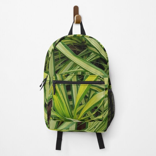 Item preview, Beautiful Green Yellow Spider Plant designed and sold by PlusAdore.