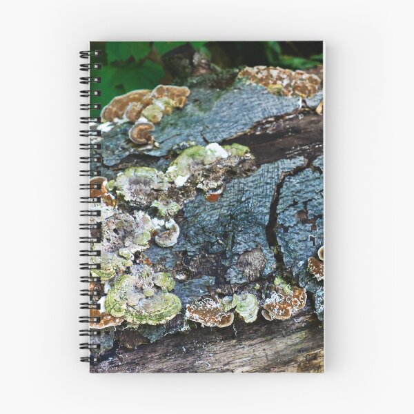 Item preview, Infected Tree Stump designed and sold by ADM  Photography.