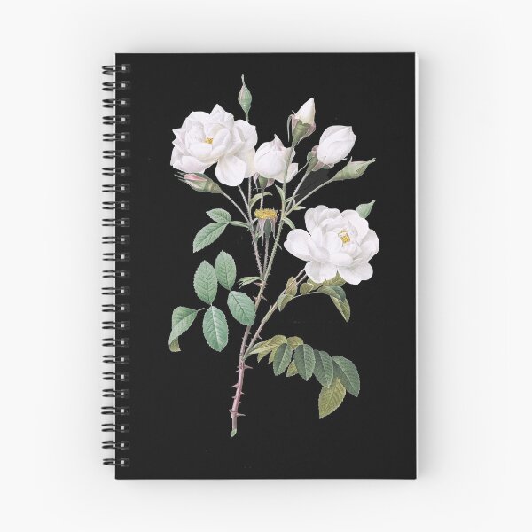 Item preview, Rosa campanulata alba also known as Pink Bellflowers to White Flowers from Les Roses (1817–1824) by Pierre-Joseph Redouté designed and sold by domdjs4239.