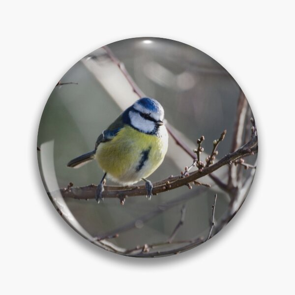Item preview, Blue Tit designed and sold by Carolyn Eaton.