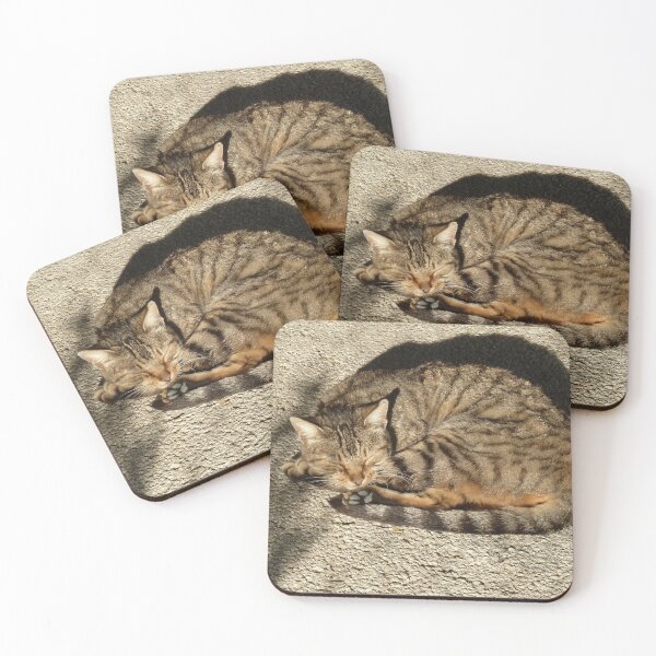 Item preview, Cat in the sun designed and sold by Fay  Hughes.