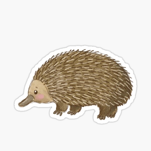 Aussie Animals: Echidna Sticker