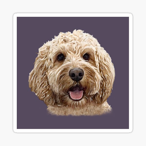 Golden Apricot Doodle Dog Sticker
