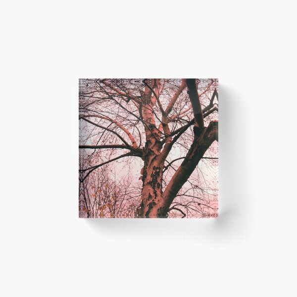 Item preview, Bare Tree designed and sold by PlusAdore.