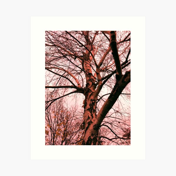 Item preview, Bare Tree designed and sold by PlusAdore.