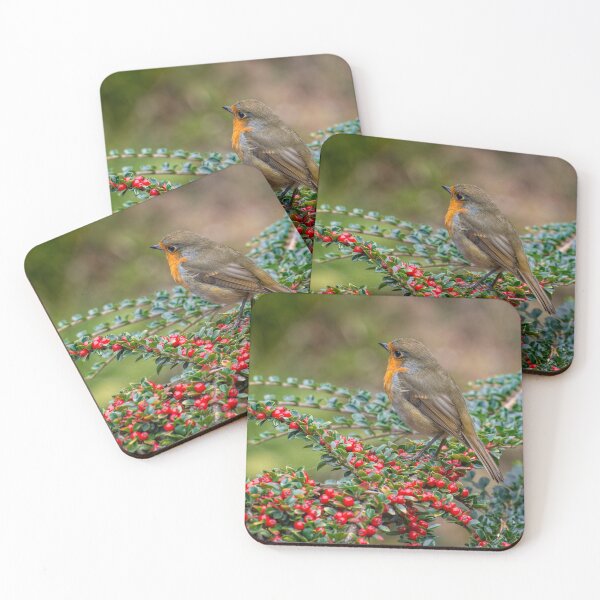 Item preview, Robin Redbreast designed and sold by AJEvans.