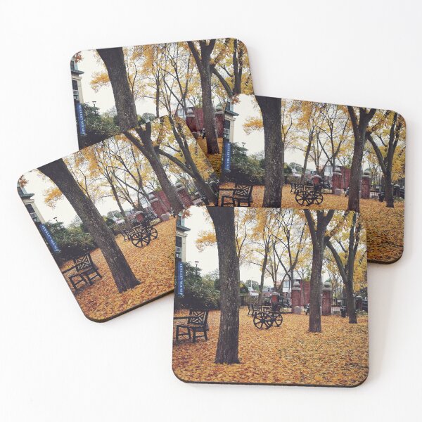 Item preview, Autumn outside Davis Square Somerville designed and sold by MarkBethoney.