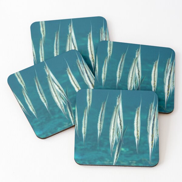 Item preview, Shrimpfishes! designed and sold by Mark Rosenstein.