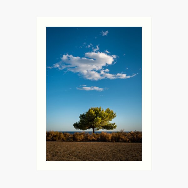 Little Tree - Little Cloud Art Print