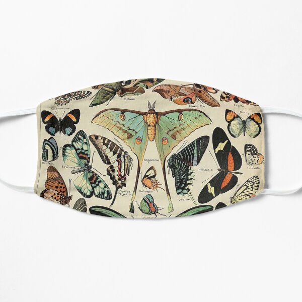 vintage butterflies and moths Mask