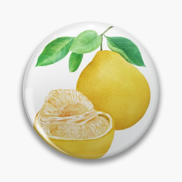 Item preview, Watercolor Illustration of Pomelo designed and sold by iswenyi.