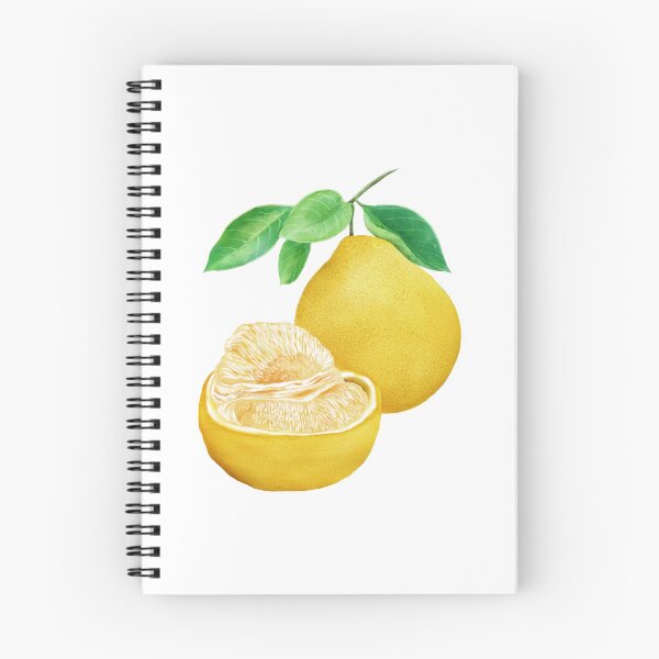 Item preview, Ilustración en acuarela de pomelo designed and sold by iswenyi.