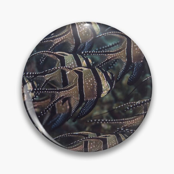Item preview, Banggai Cardinalfish School designed and sold by Mark Rosenstein.