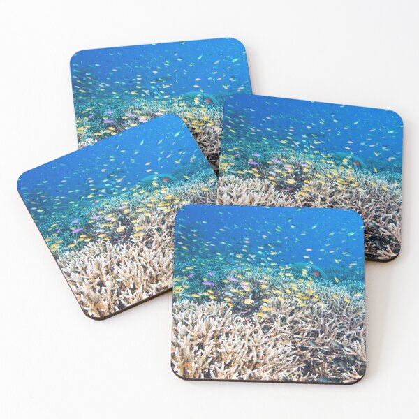 Item preview, Anthias Over Staghorn designed and sold by Mark Rosenstein.