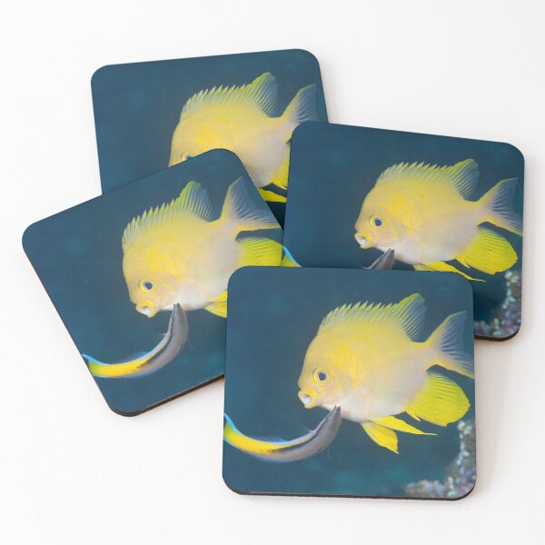 Item preview, Damsel Cleaning designed and sold by Mark Rosenstein.