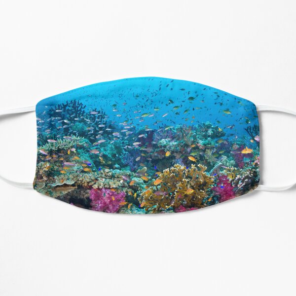 Fantasea Reef Flat Mask