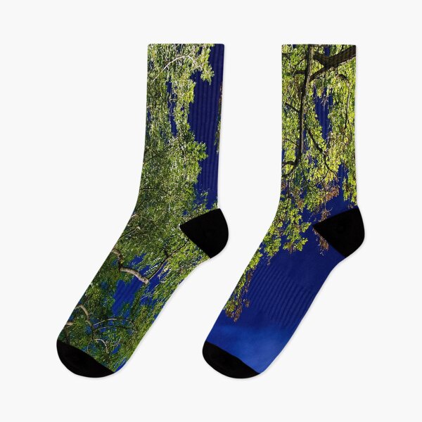 Item preview, Trees in front of the night sky designed and sold by frankuffmann.