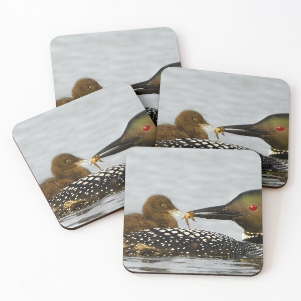 Item preview, Common Loon And Chick designed and sold by Loon-Images.