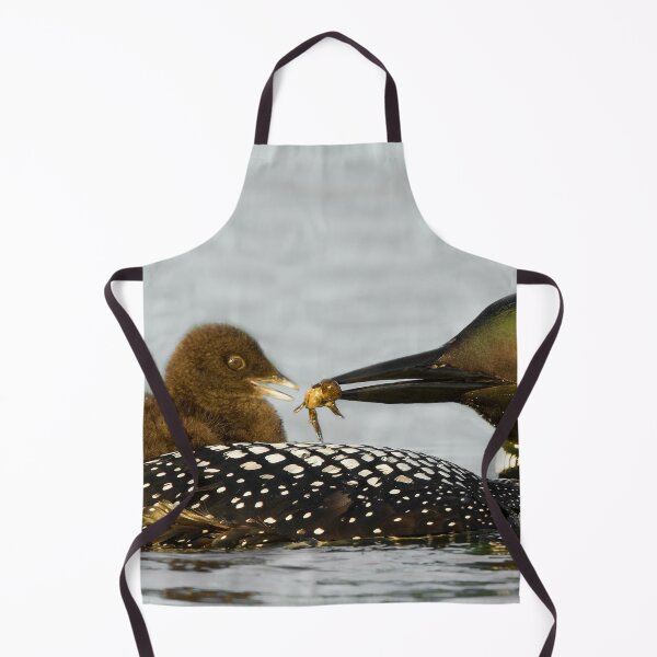 Item preview, Common Loon And Chick designed and sold by Loon-Images.
