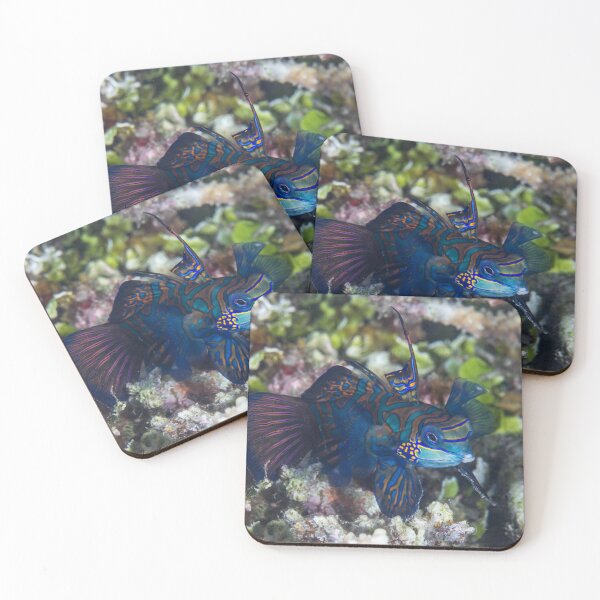 Item preview, Mandarinfish designed and sold by Mark Rosenstein.