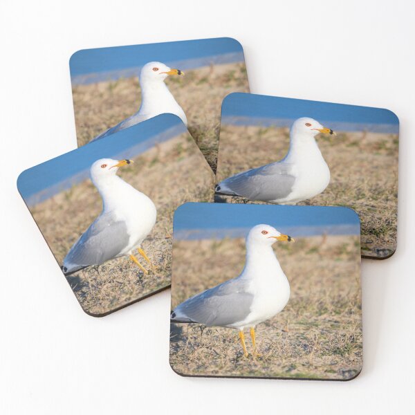 Item preview, Pretty Bird designed and sold by Cynthia48.