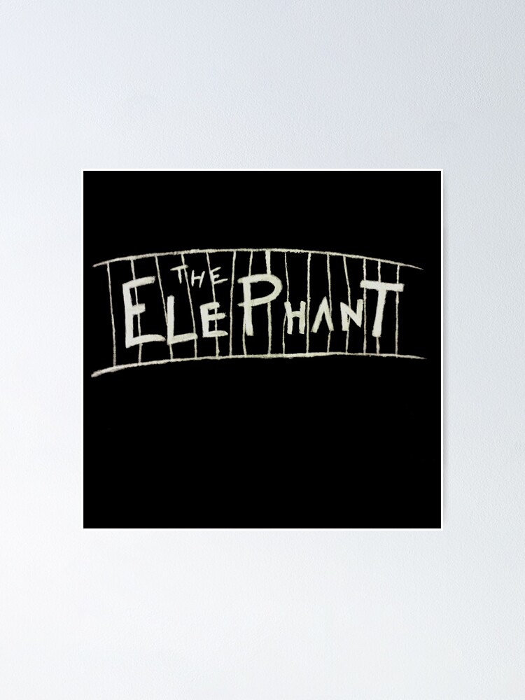 Cage the Elephant shirt designed by local teen