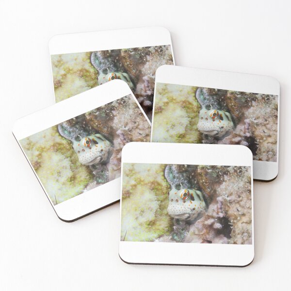Item preview, Freckled-faced Blenny designed and sold by Mark Rosenstein.
