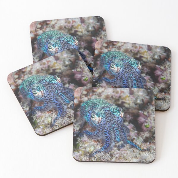Item preview, Bobtail Squid designed and sold by Mark Rosenstein.