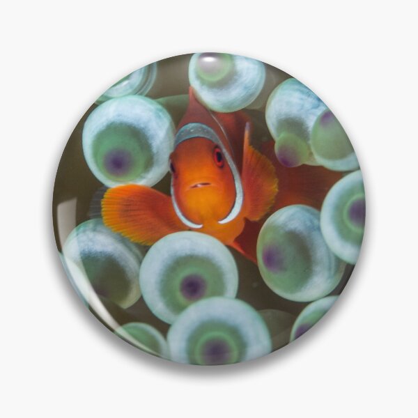 Item preview, Ever Feel Like You're Being Watched? designed and sold by Mark Rosenstein.