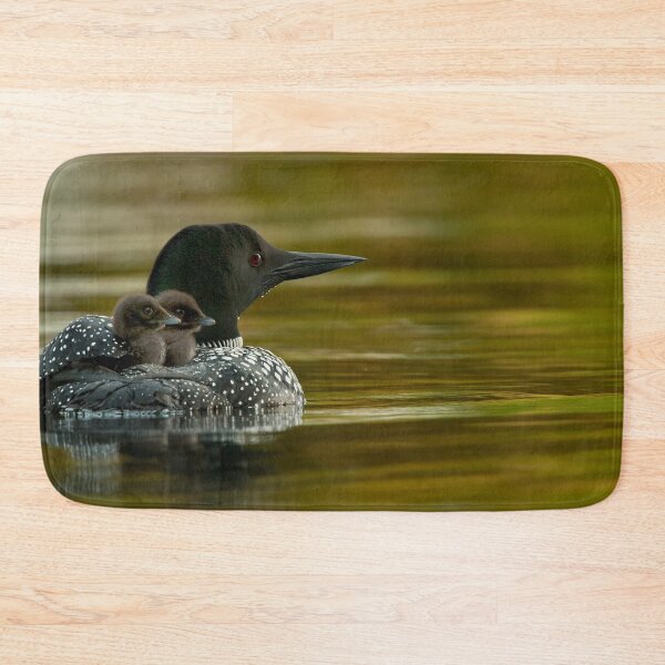 Item preview, Common Loon And Chick designed and sold by Loon-Images.