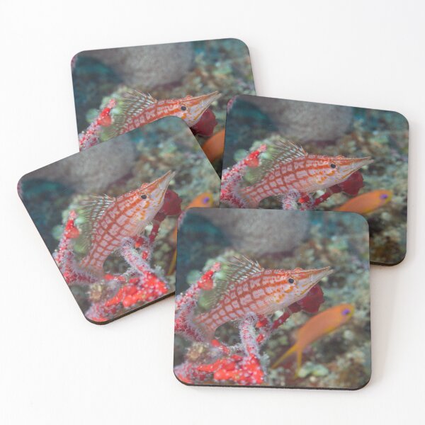 Item preview, Hawkfish in Plaid designed and sold by Mark Rosenstein.