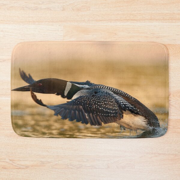 Item preview, Common Loon designed and sold by Loon-Images.