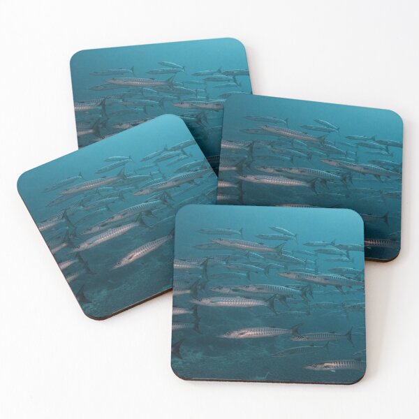 Item preview, Blackfin Barracudas designed and sold by Mark Rosenstein.
