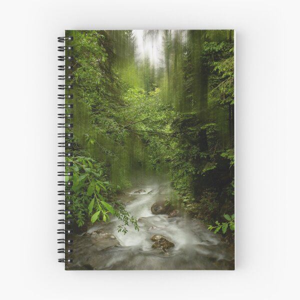 Item preview, Foresta II designed and sold by anna-mar.