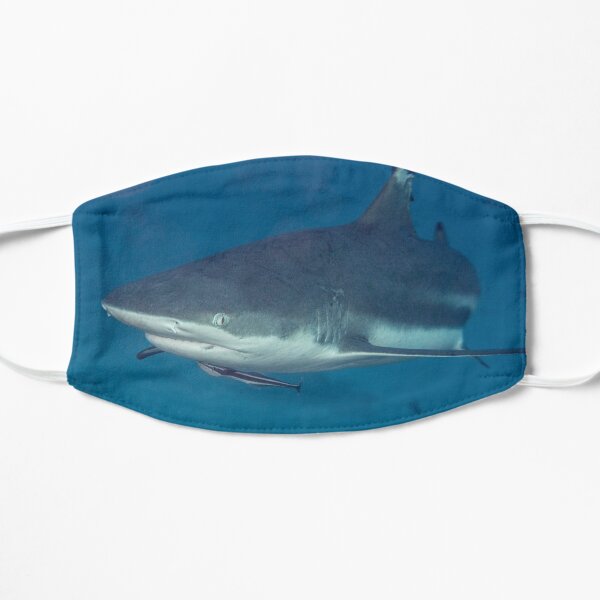 Blacktip Reef Shark Flat Mask