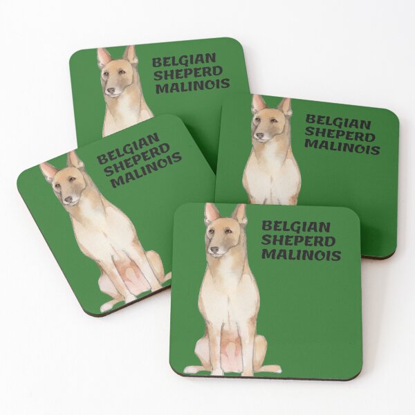 Item preview, Brown Malinois sitting designed and sold by mikoala50.