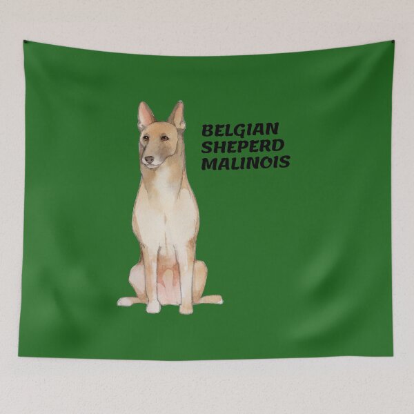 Item preview, Brown Malinois sitting designed and sold by mikoala50.