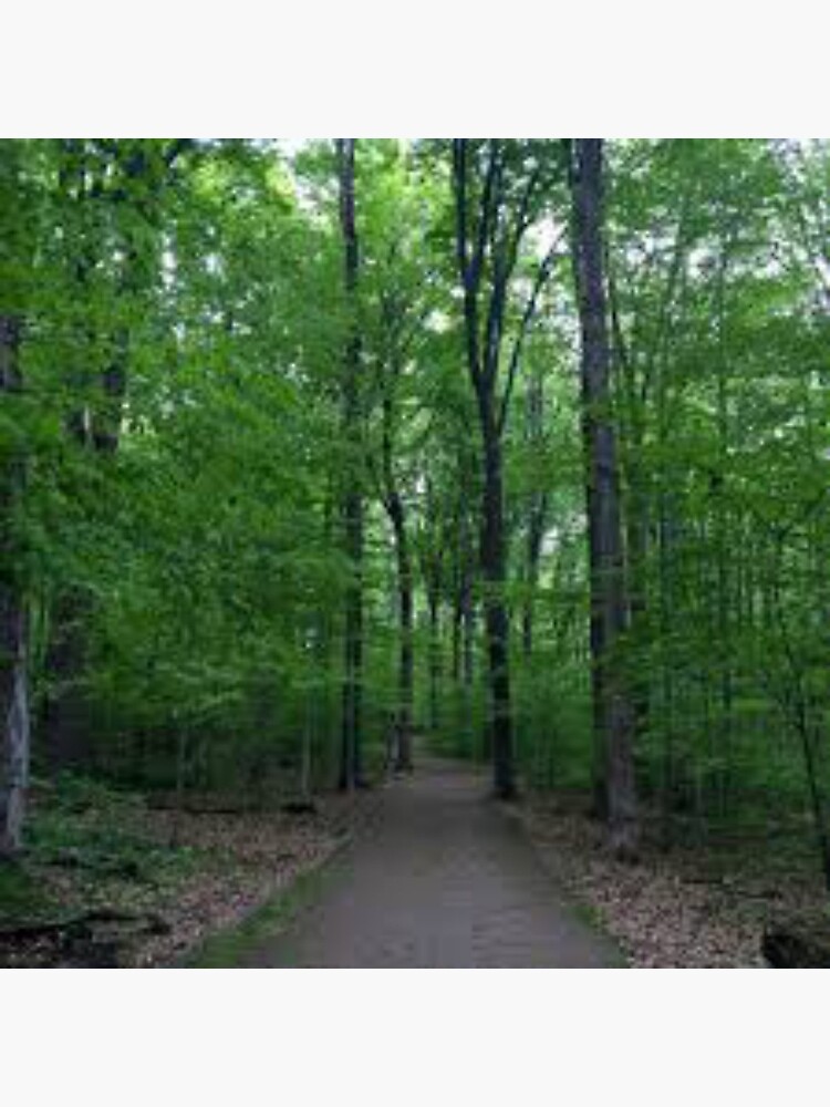Lámina fotográfica «PASEO POR LOS BOSQUES EN INGLÉS, PEGATINAS, TAZAS Y