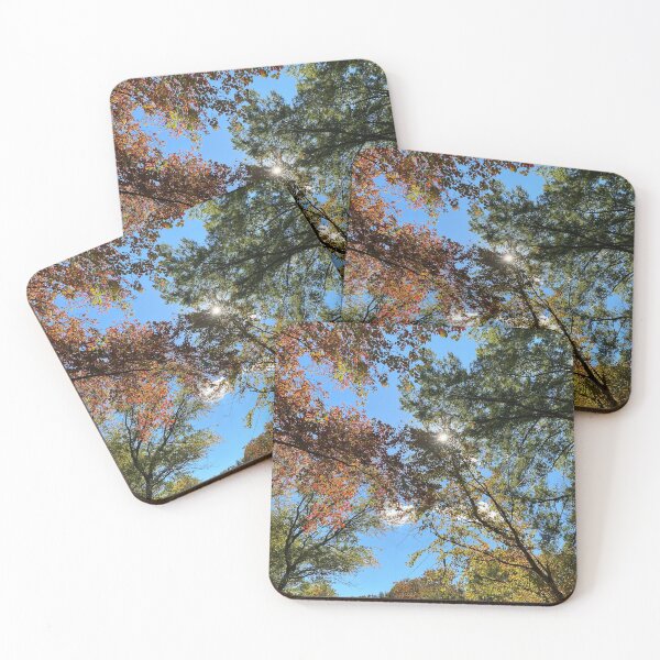 Item preview, Sunshine Through The Fall Leaves designed and sold by izzy8793.