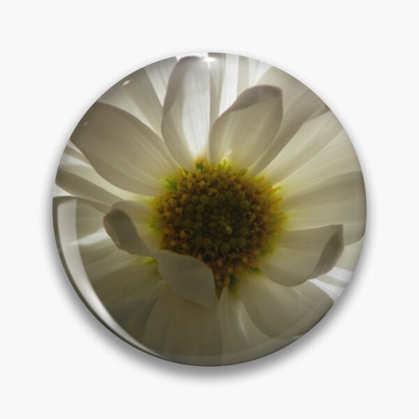 Item preview, Backlit Daisy  designed and sold by OliviaDorgan02.