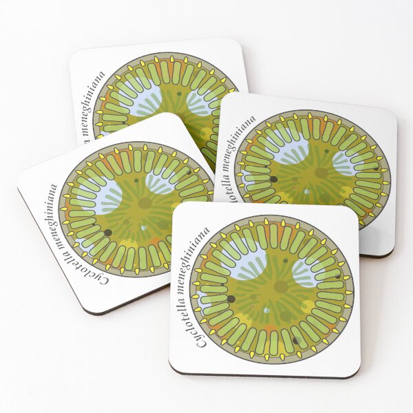 Item preview, Diatom - Cyclotella meneghiniana (scientific) designed and sold by DiatomsATTACK.