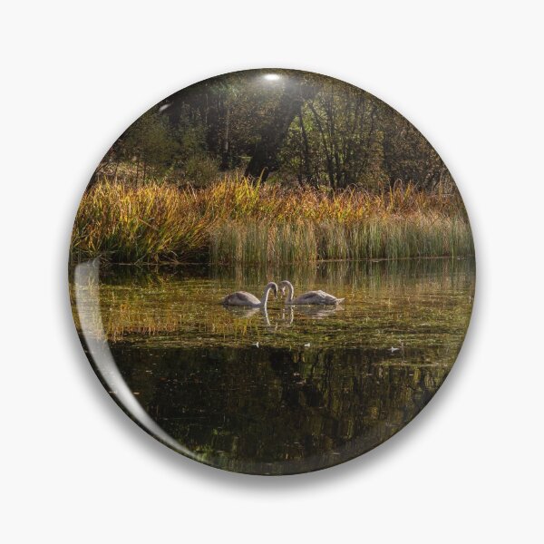 Item preview, 'Autumn Magic 5', Loch Dunmore, Pitlochry designed and sold by mucklepawprint.