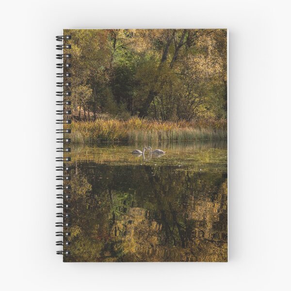 Item preview, 'Autumn Magic 5', Loch Dunmore, Pitlochry designed and sold by mucklepawprint.