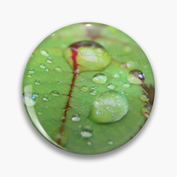 Item preview, Rose Bush After the Rain designed and sold by OliviaDorgan02.