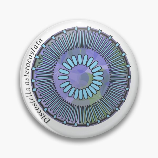 Item preview, Diatom - Discostella asterocostata (scientific) designed and sold by DiatomsATTACK.