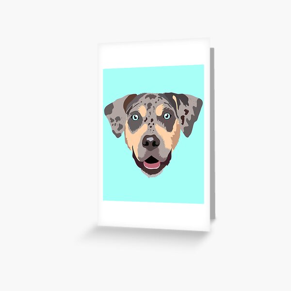 Carte de vœux « Chien de couleur Louisiane Catahoula Leopard 