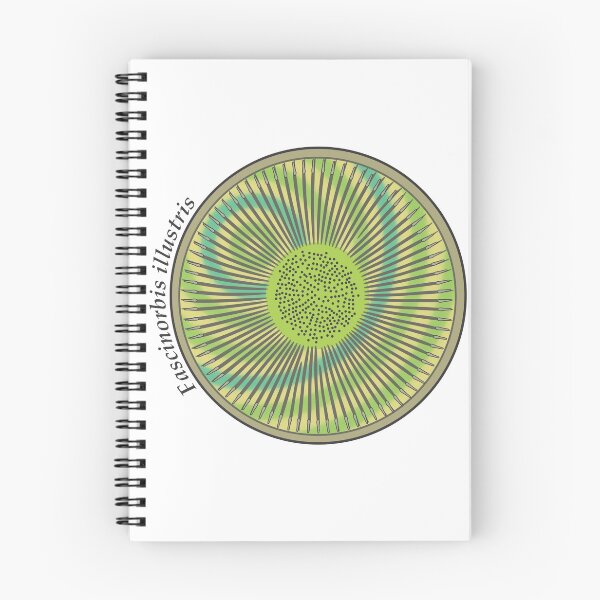 Item preview, Diatom - Fascinorbis illustris (scientific) designed and sold by DiatomsATTACK.